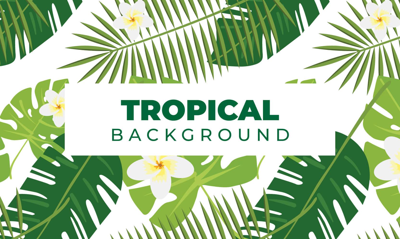 Tropical Background